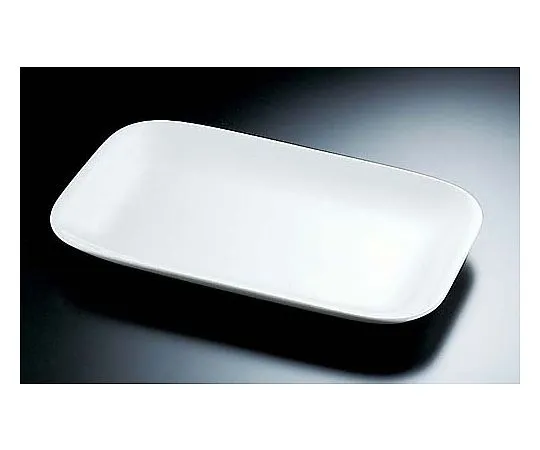 62-6671-50　Square Platter 16 in　D-151