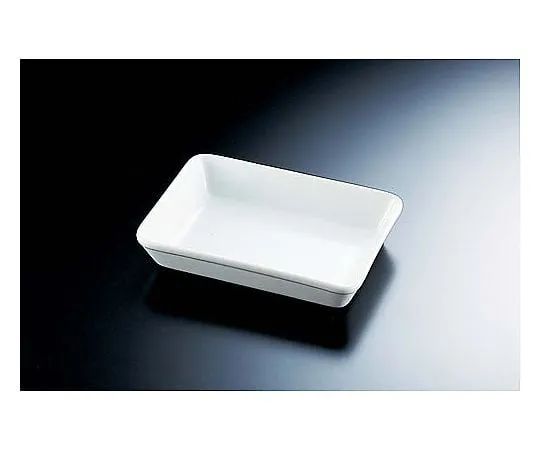 62-6671-59　Lasagna 10 inch　D-159