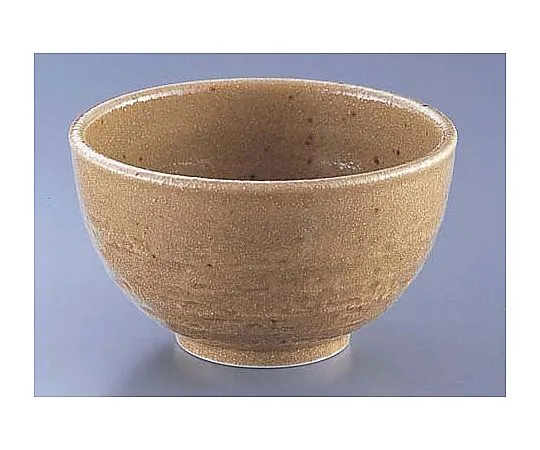 62-6843-96　Karatsu rice bowl　M7-4