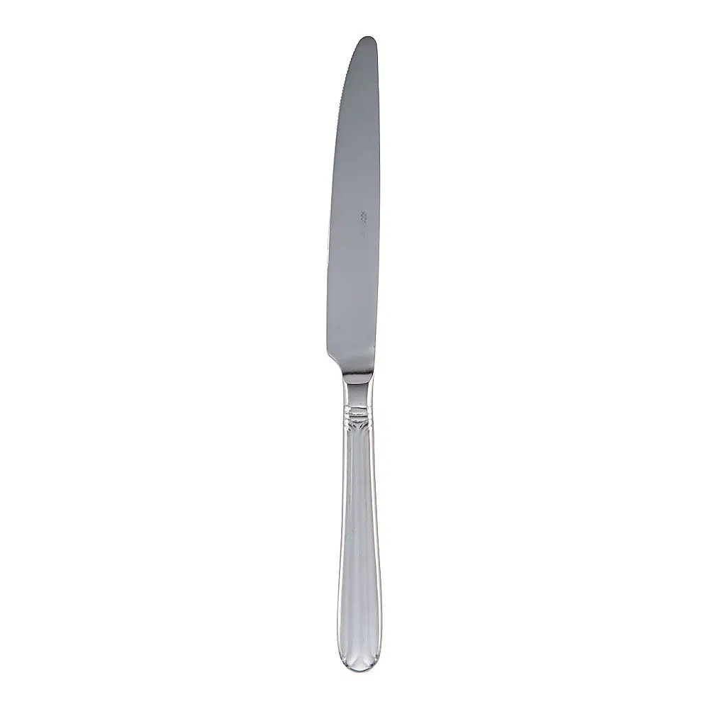 62-6718-20　Abert 18-10 Splendid Table Knife