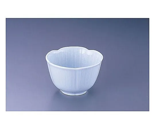 62-6841-99　12-AZ11 Blue White Porcelain Ume Kobachi