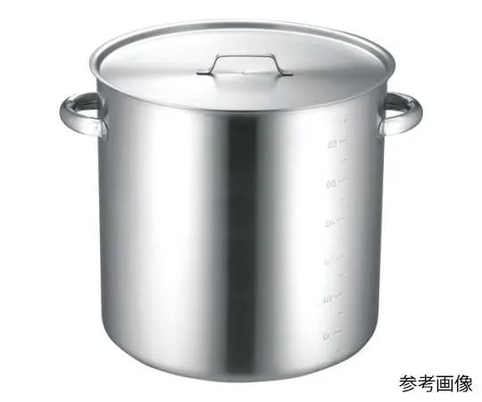 62-8159-43　KO 19-0 Electromagnetic Compatible IH Stockpot (with Lid) 28 cm　015213