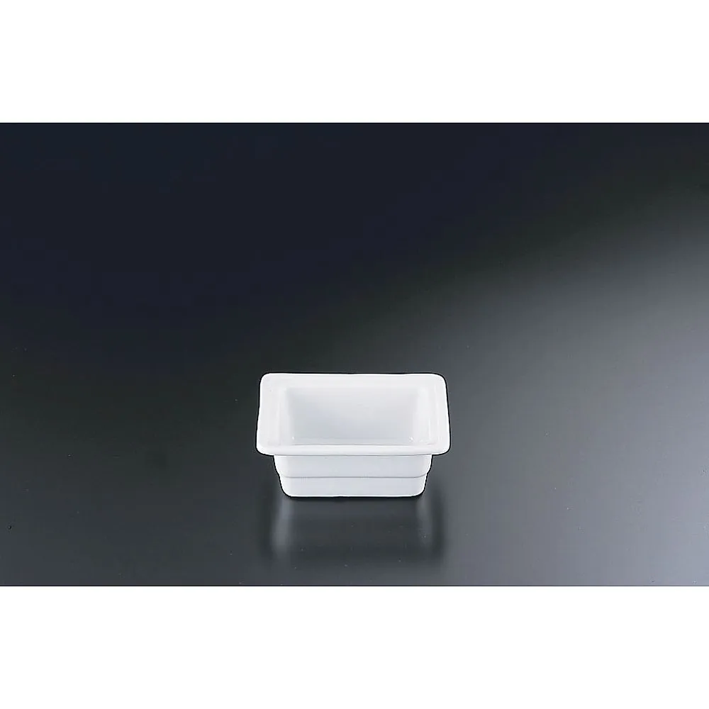 62-6672-63　TKG Gastronomic Dish 1/6 100 mm