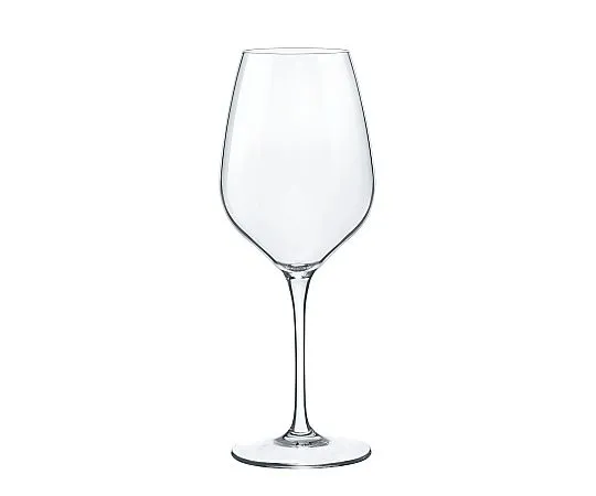 69-5199-19　Bormi Orillo Caris de Gustachione AIS Tasting Glass 430 mL(1.70470. B31)　8102680