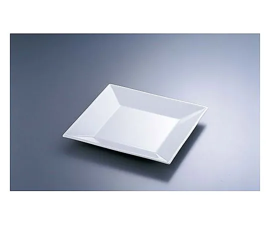 62-6840-76　20 cm Plate　C-183