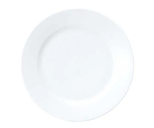 63-7193-80　Chinese meat plate 24 cm 3203 white　7628400