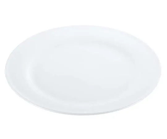 63-7194-62　Super Ceramic Rim Meat Plate 9inch　8179170