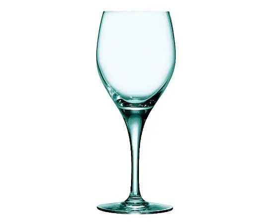 69-5199-88　Sensation Exalt Wine 200 E7698 205 mL　5921170