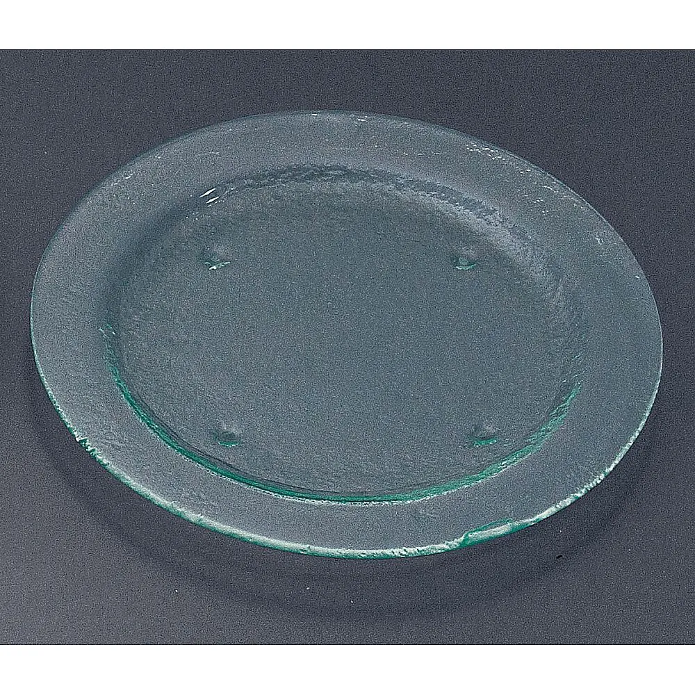 62-6835-87　Tiger Glass Round Plate 270 Clear　162-031-02