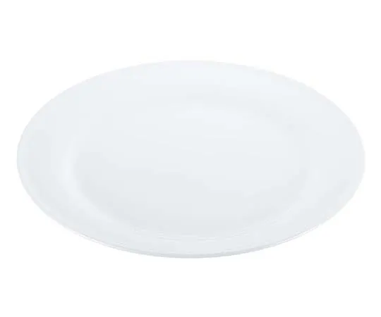 63-7194-61　Super Ceramic Rim Dinner Plate 10inch　8179160