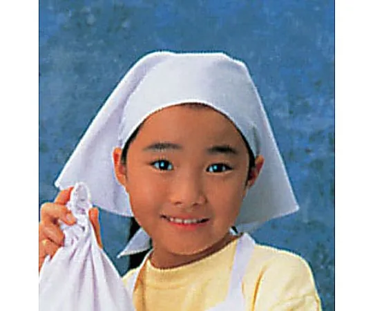 62-6636-29　Triangle Cloth (White)　SKV364