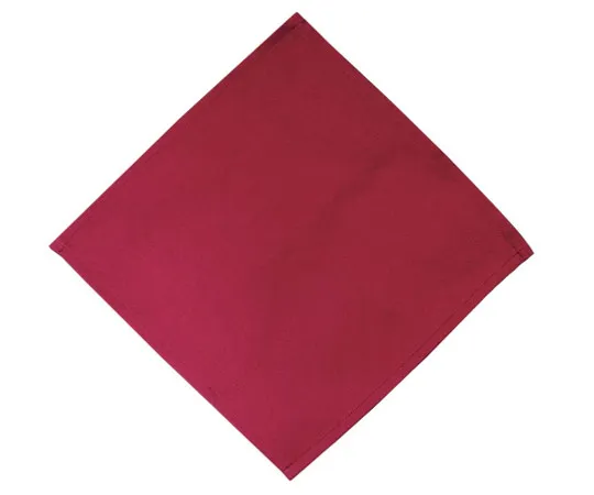 63-7182-15　EBM Cutlery Case Napkin (10 Pieces) Deep Red 230 x 230　0362100