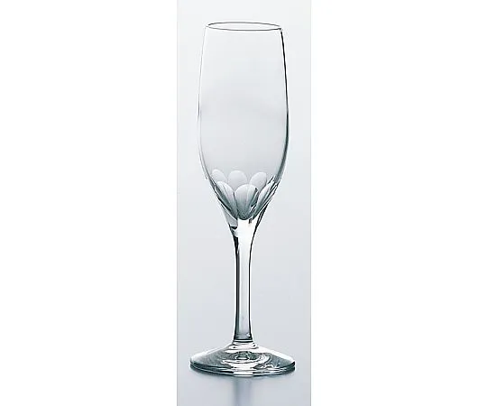 69-5200-97　Lout Flute Champagne 30G54HS-E102　2040700