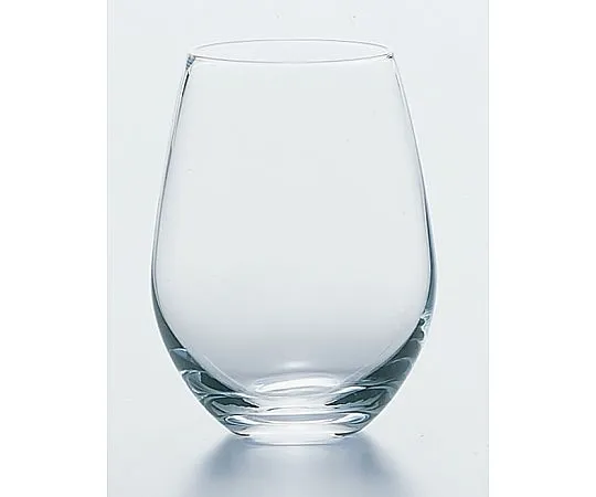 69-5204-10　Water Variance Elegant Tumbler T-24102HS　2254800