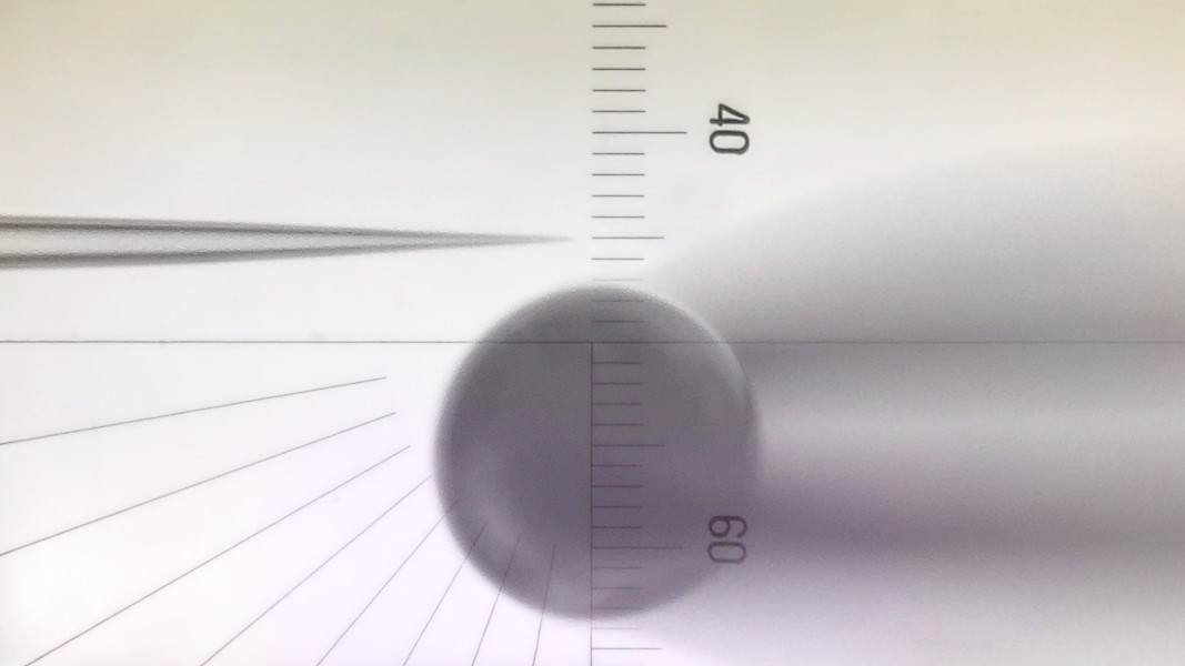 物镜 10x